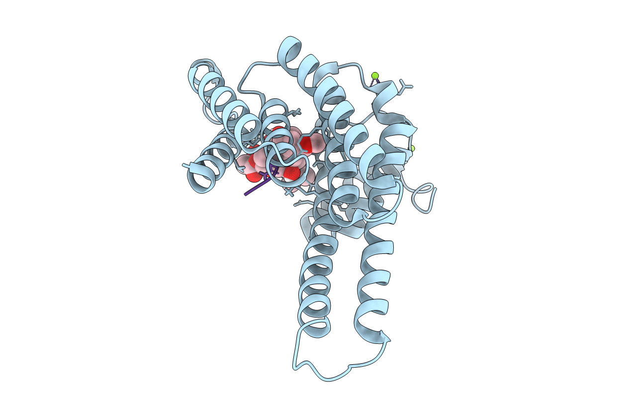 7OB8 image