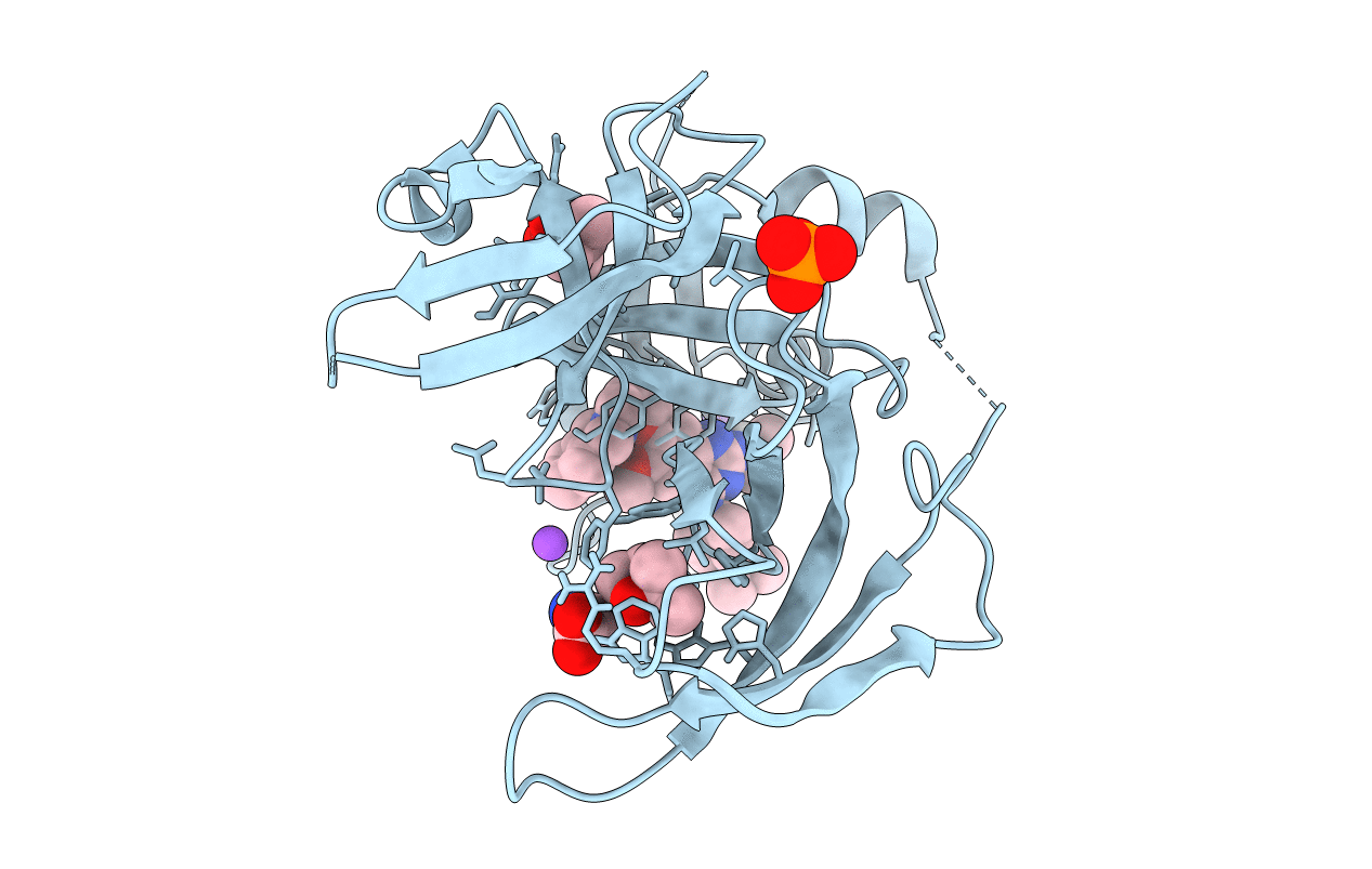 7OCB image