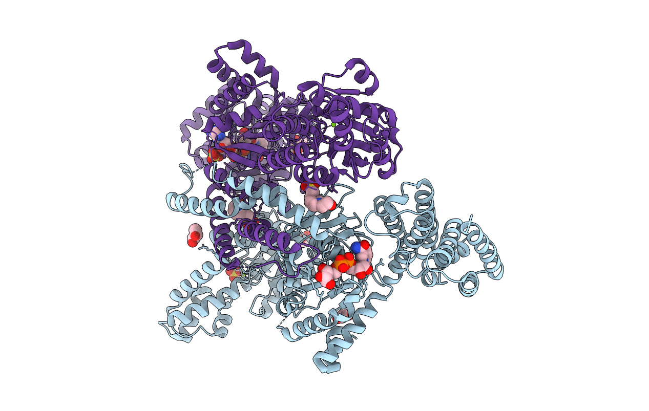 7OCQ image