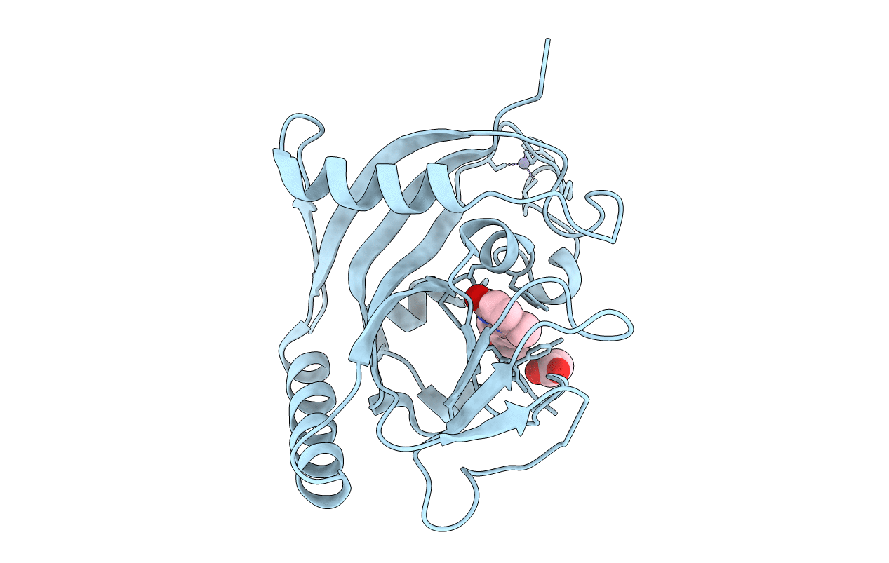 7OCV image