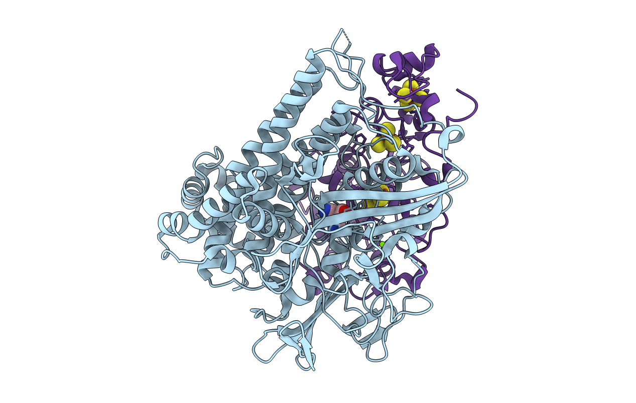 7ODH image