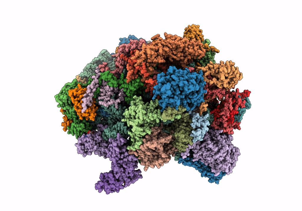 7ODT image