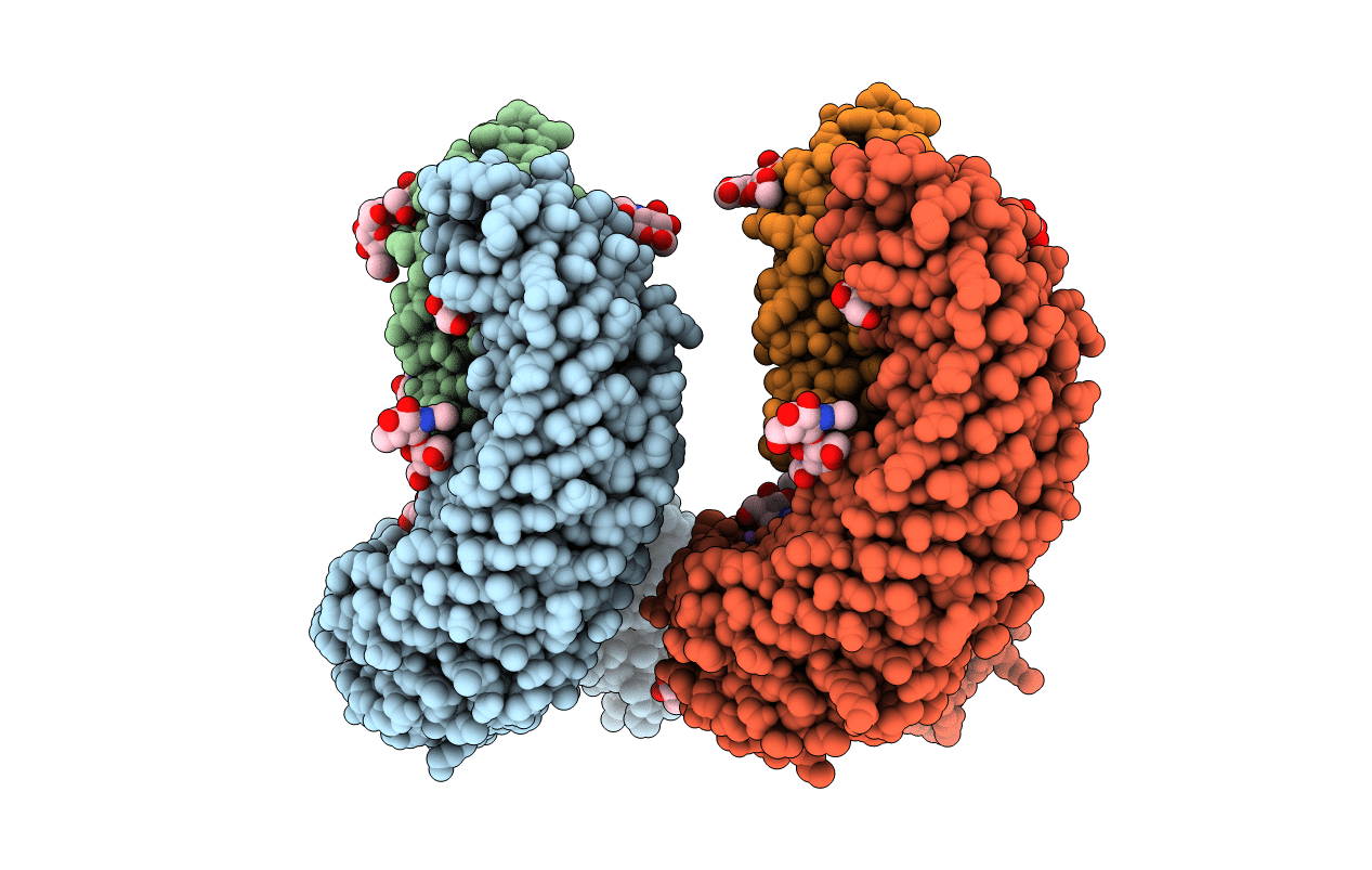 7ODV image