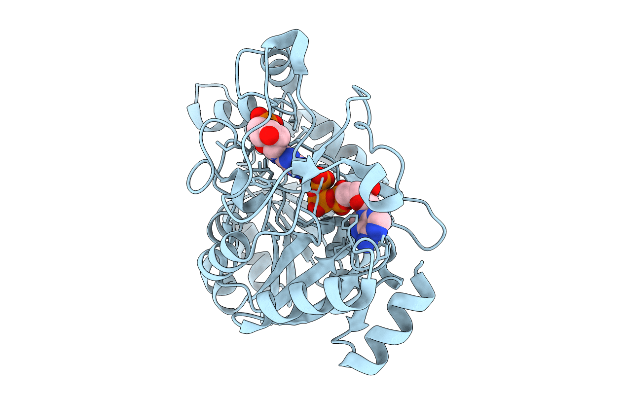 7ODX image