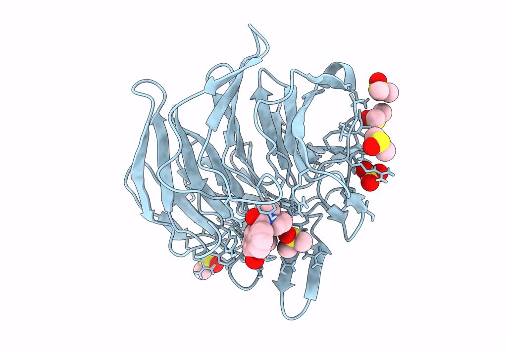 7OFB image