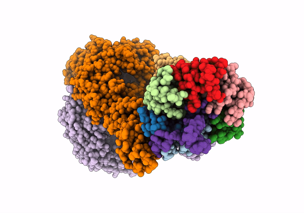 7OGM image