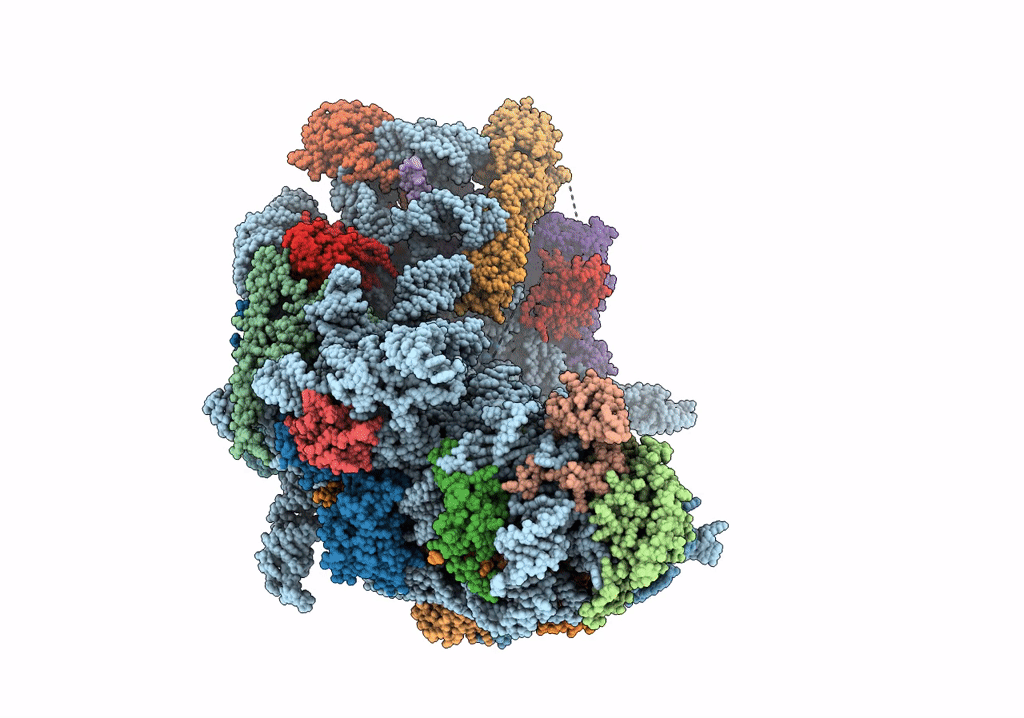 7OHU image