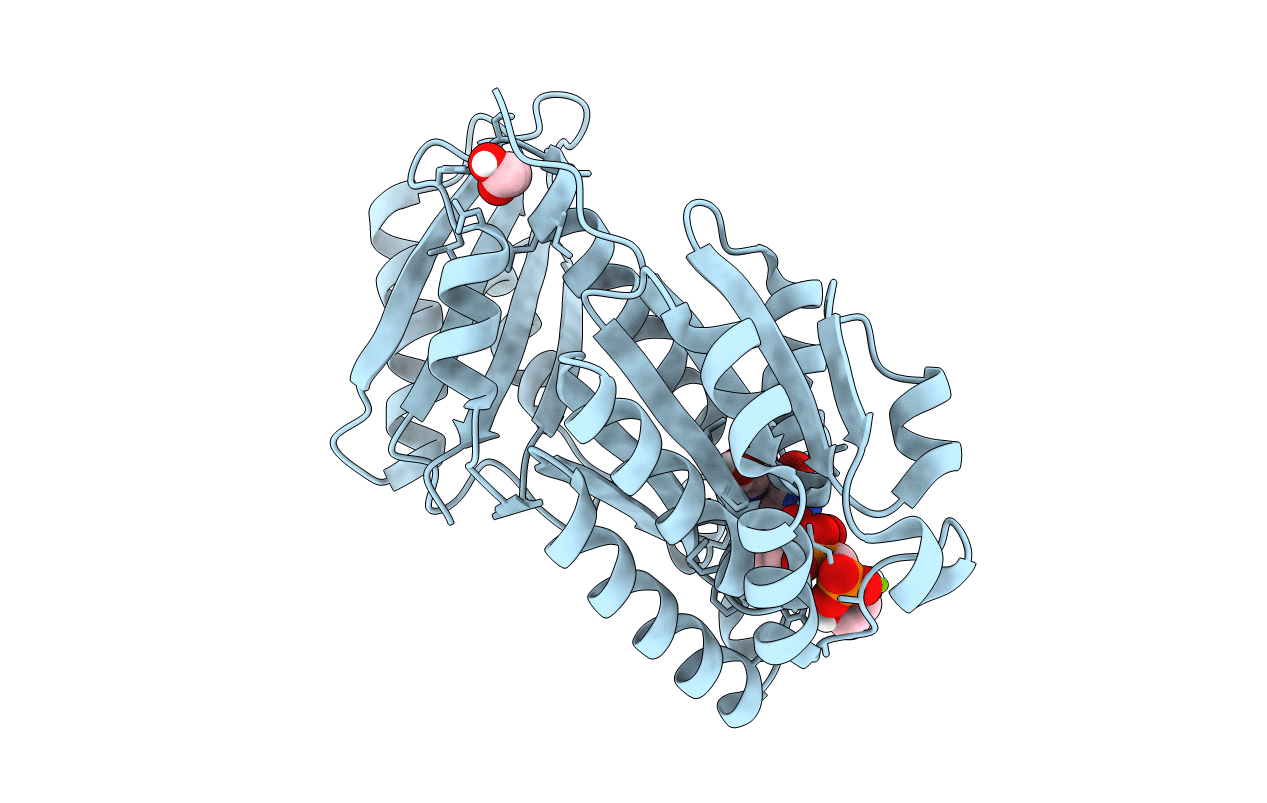 7OMP image