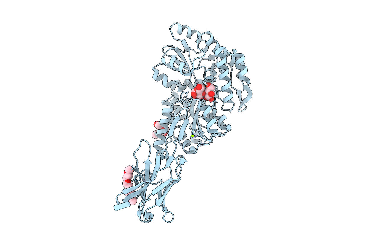 7OMT image