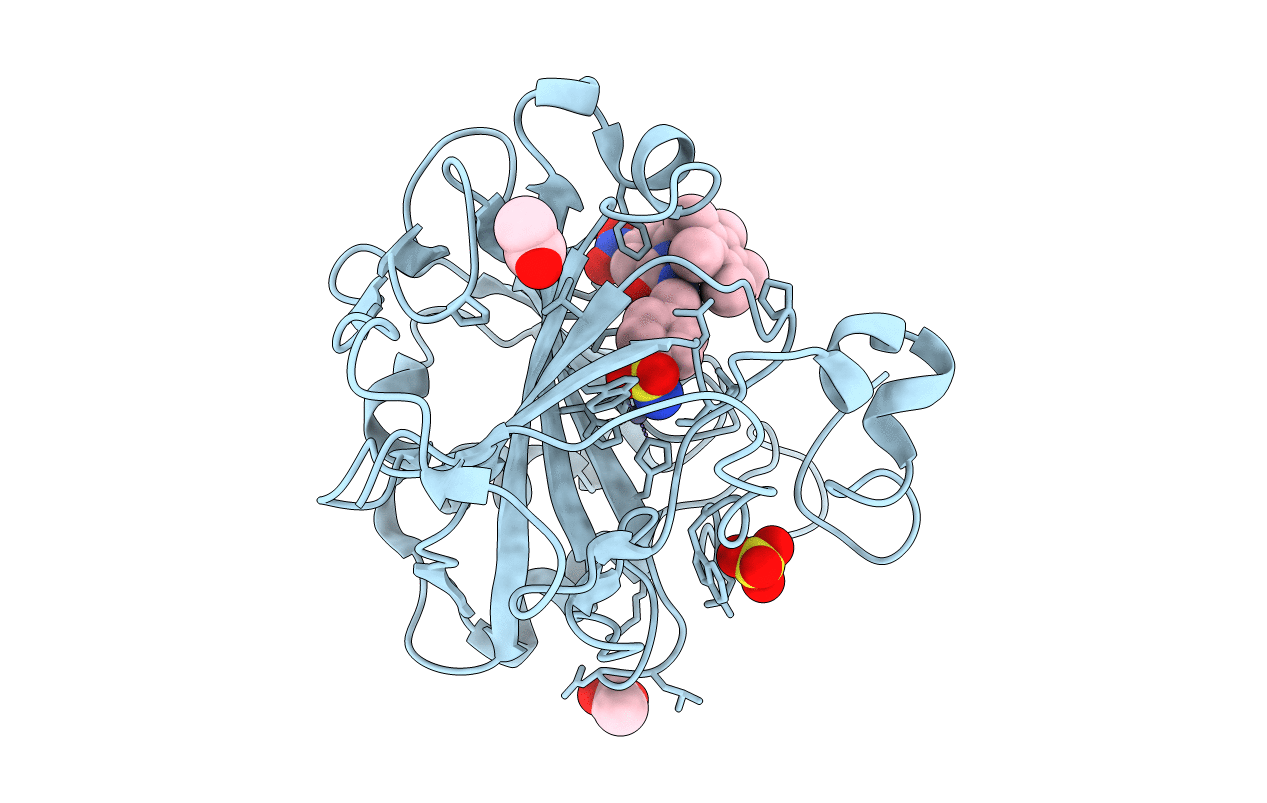 7ONP image