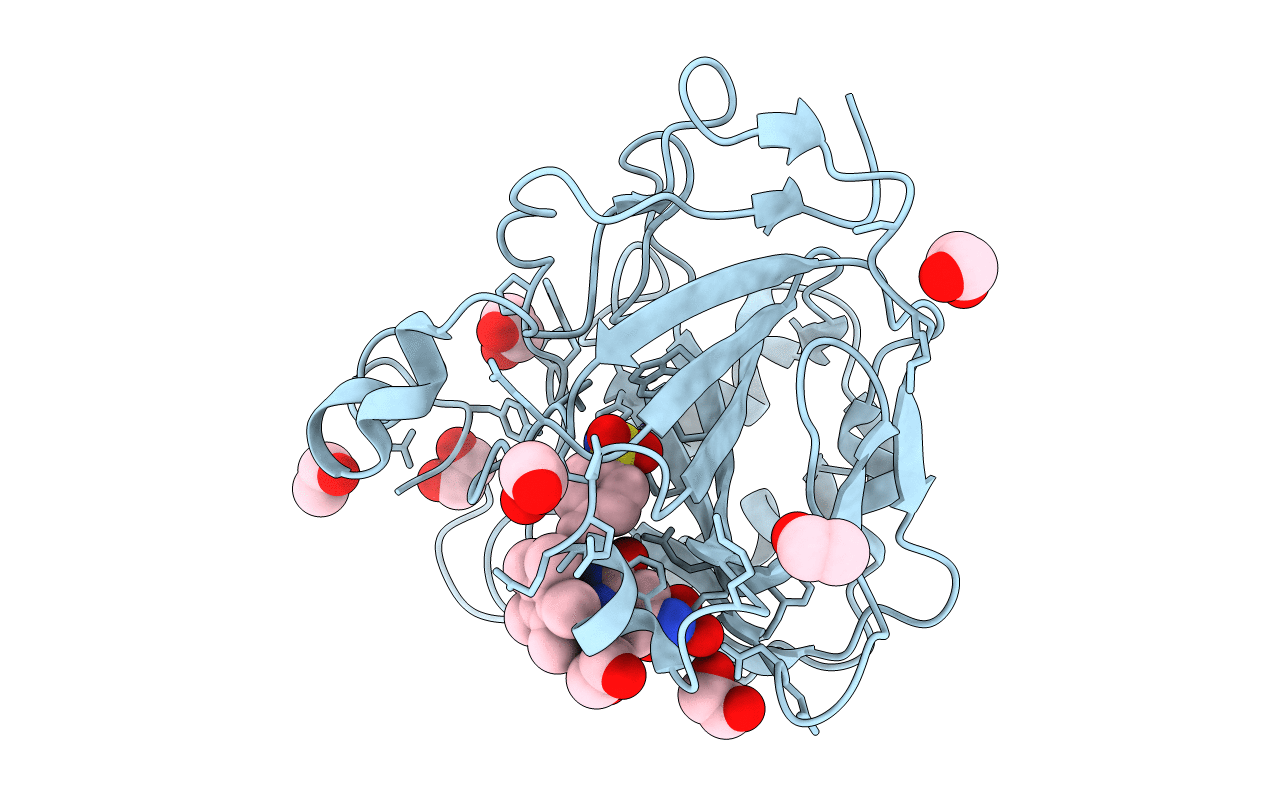 7ONV image