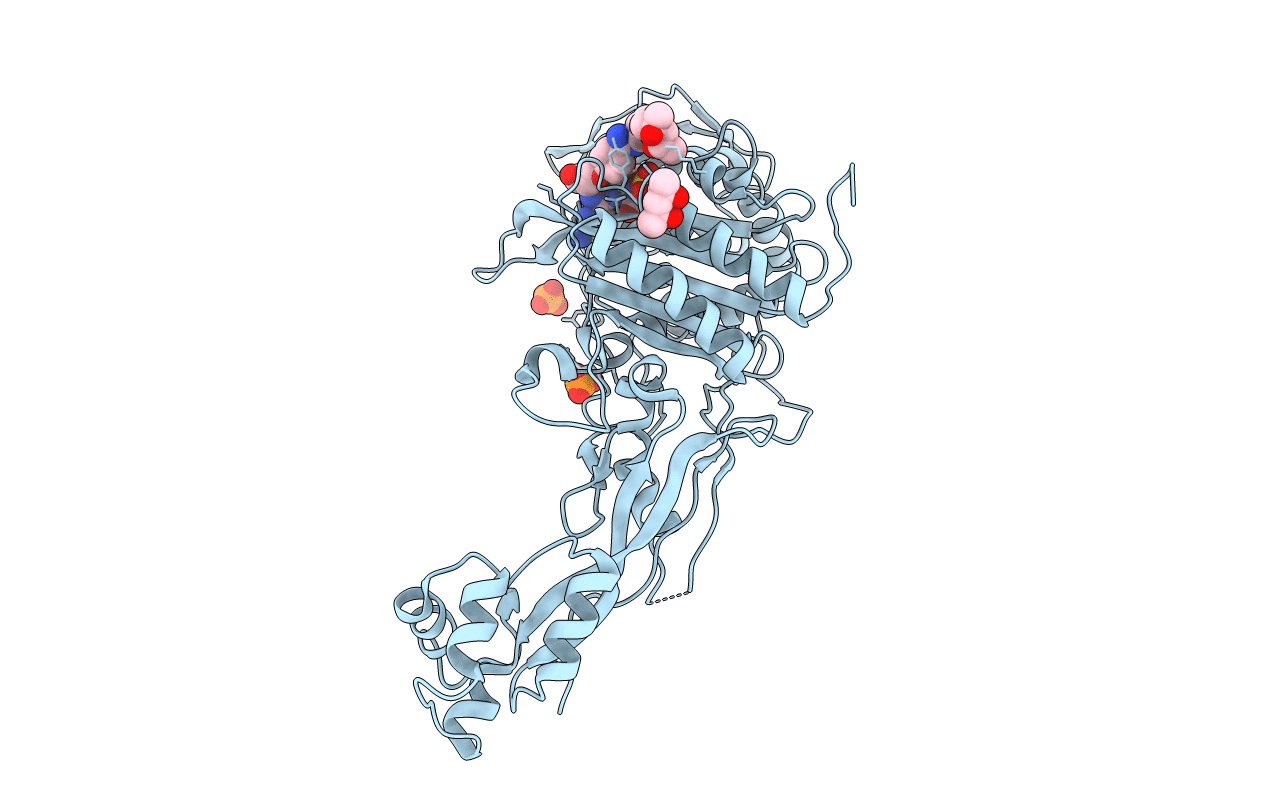 7ONW image