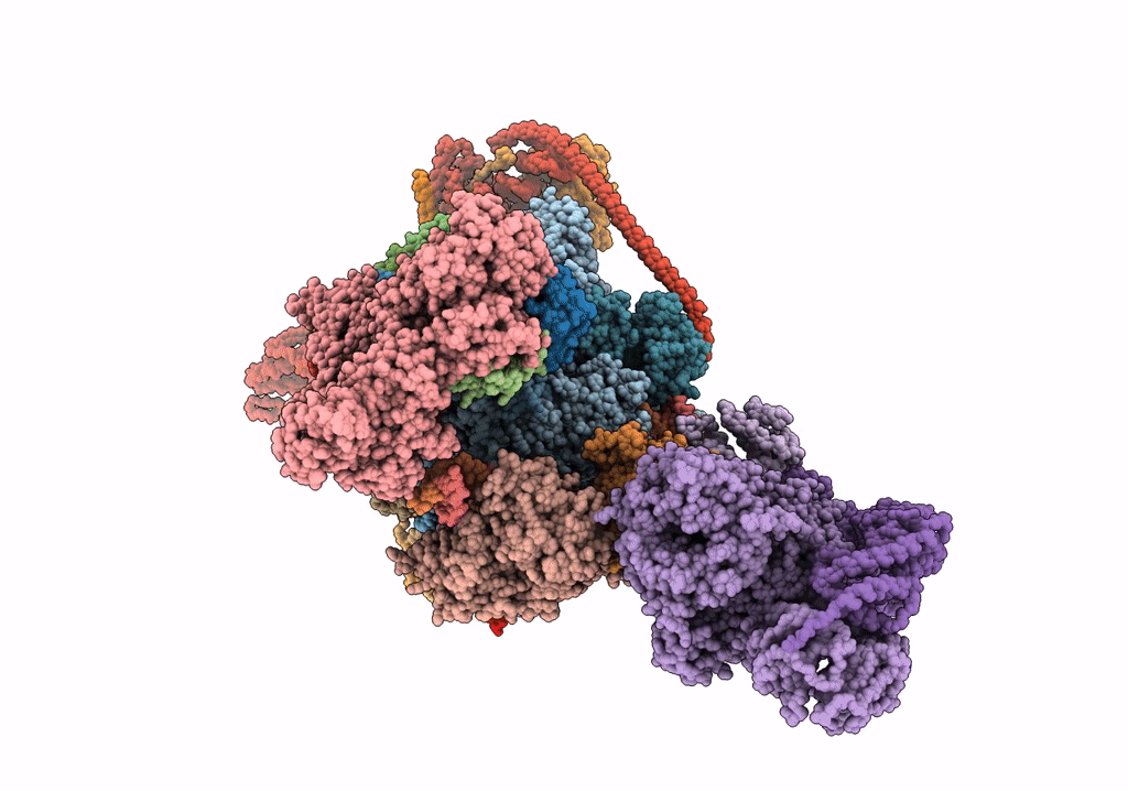 7OPC image