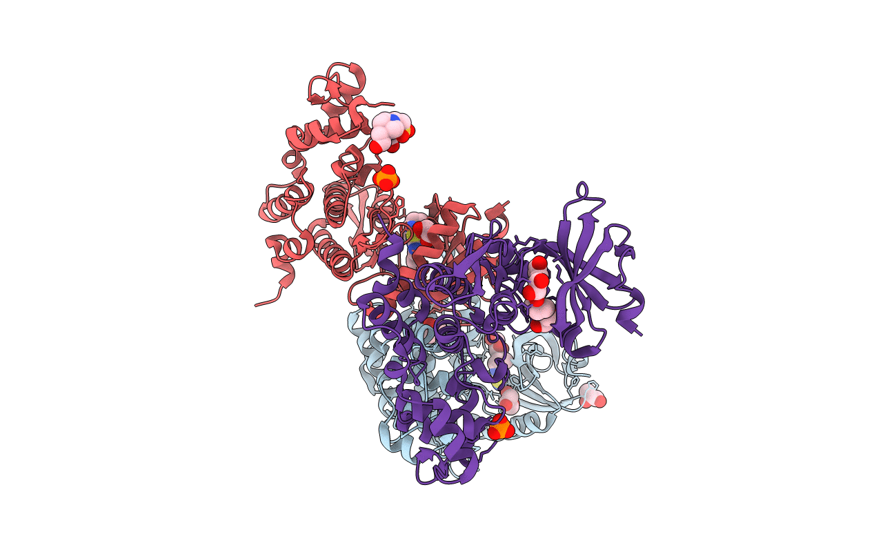 7OPG image