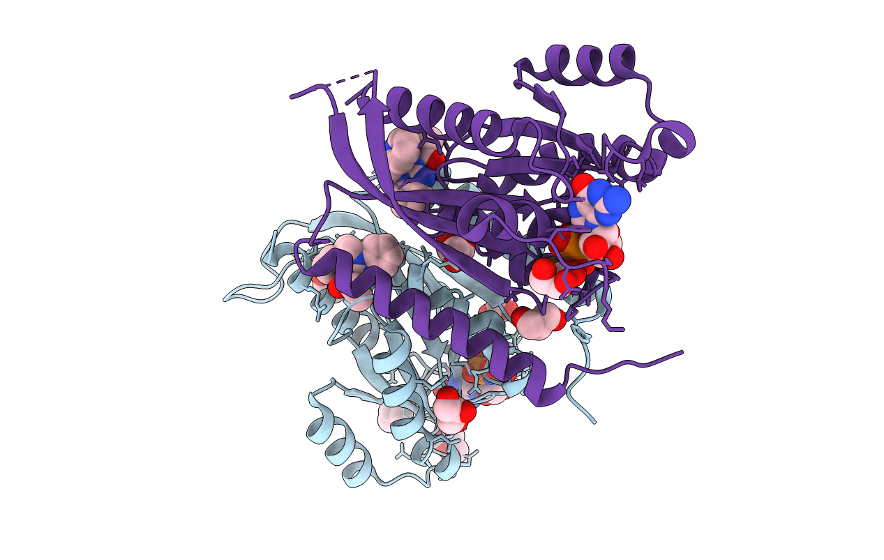 7OPR image