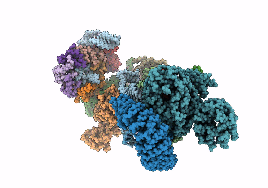 7OQB image