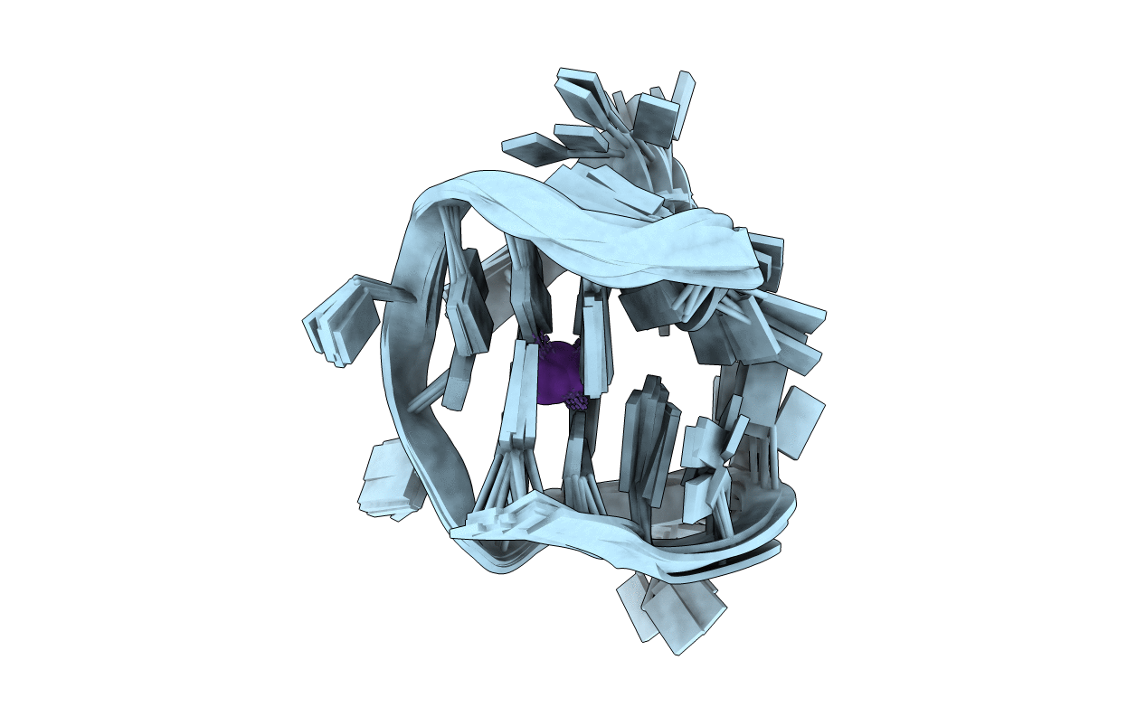 7OQT image