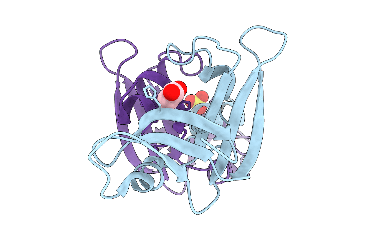 7ORD image
