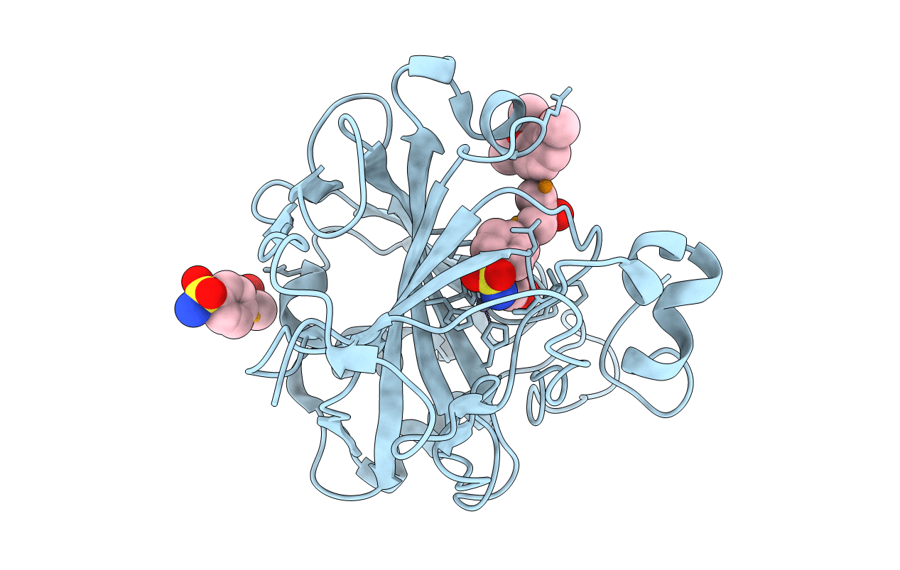 7ORP image
