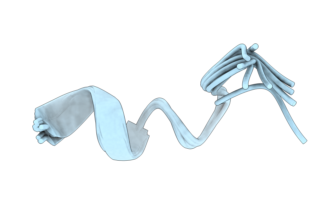 7OSD image