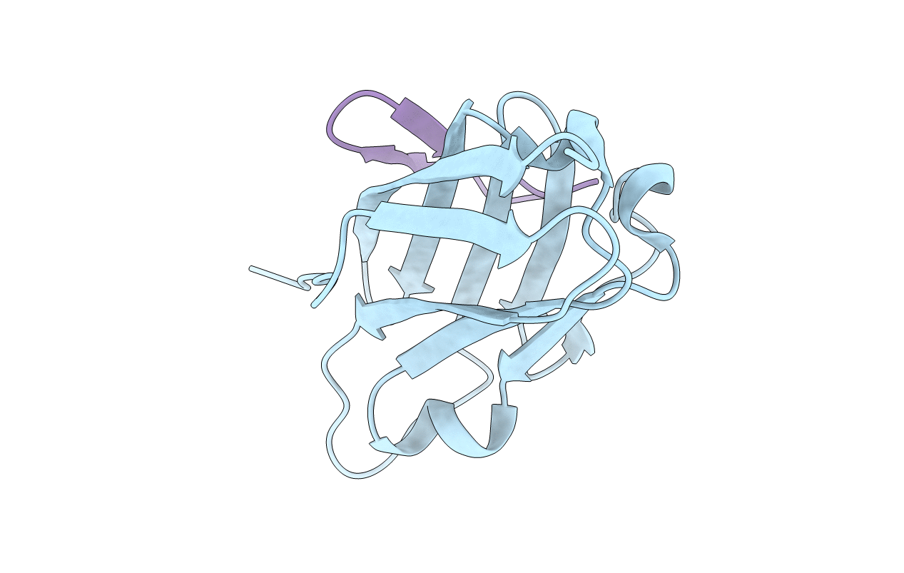7OUN image
