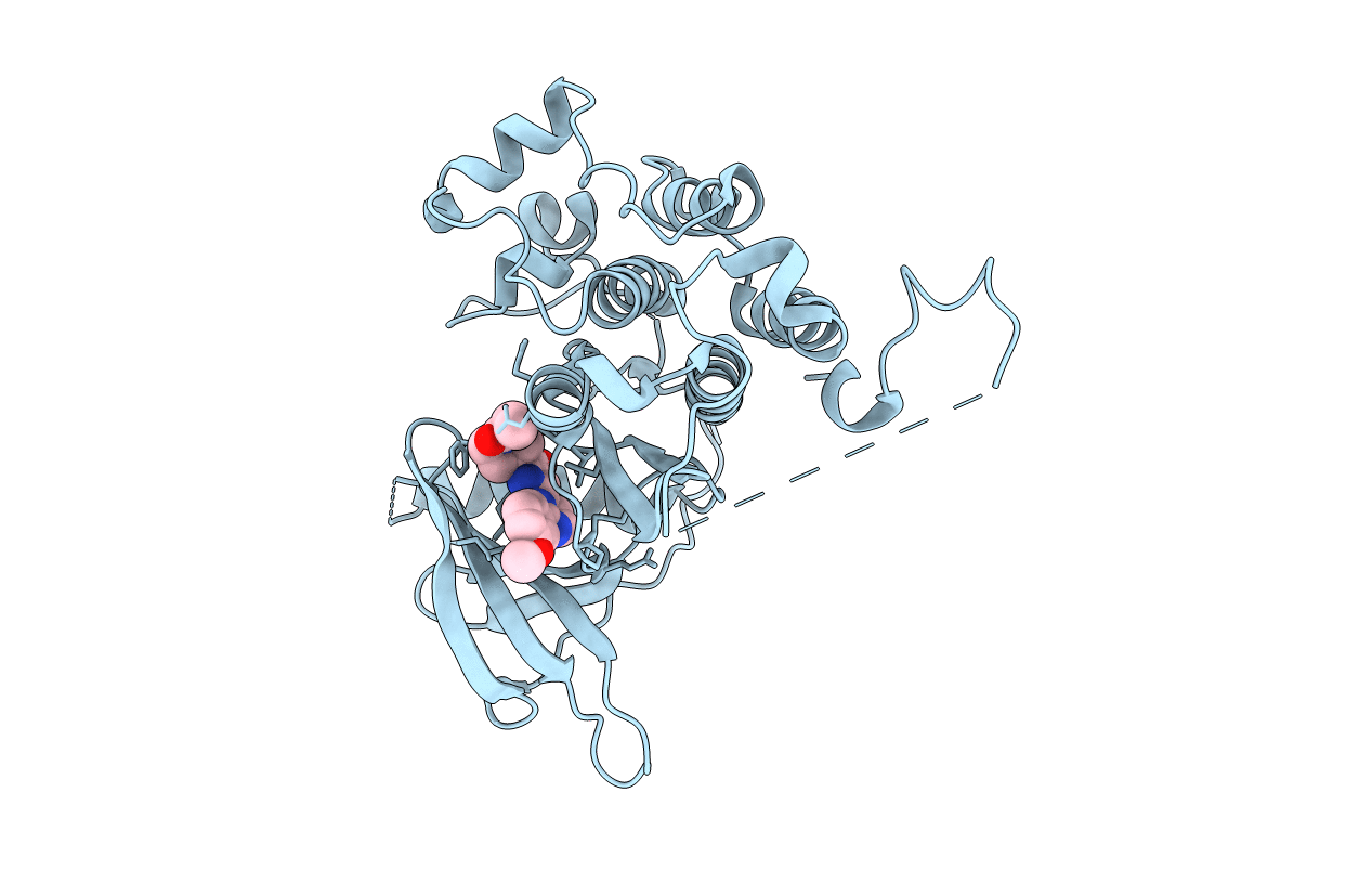 7OXB image