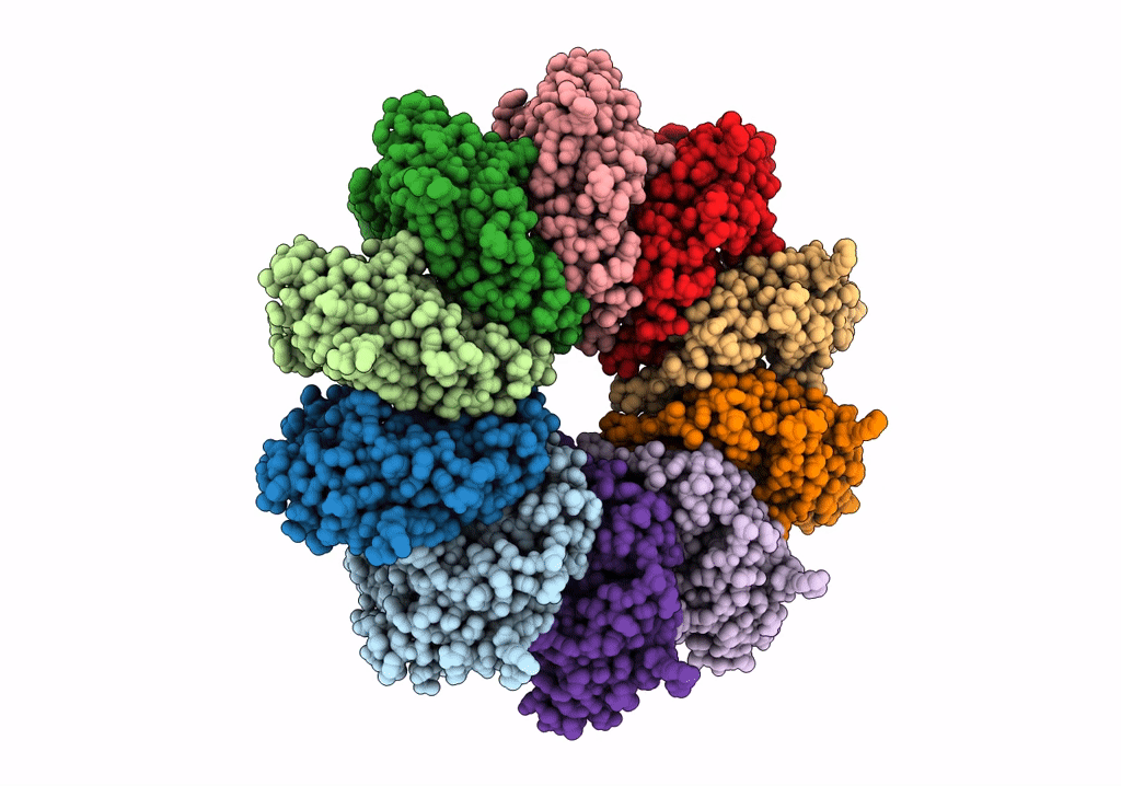 7OXP image