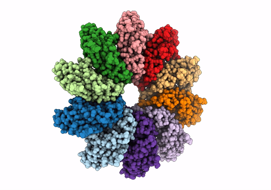 7OXR image