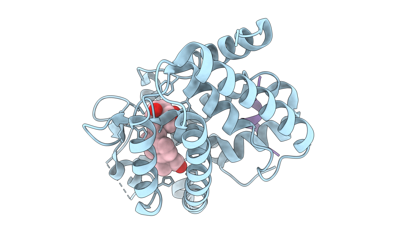 7OXU image
