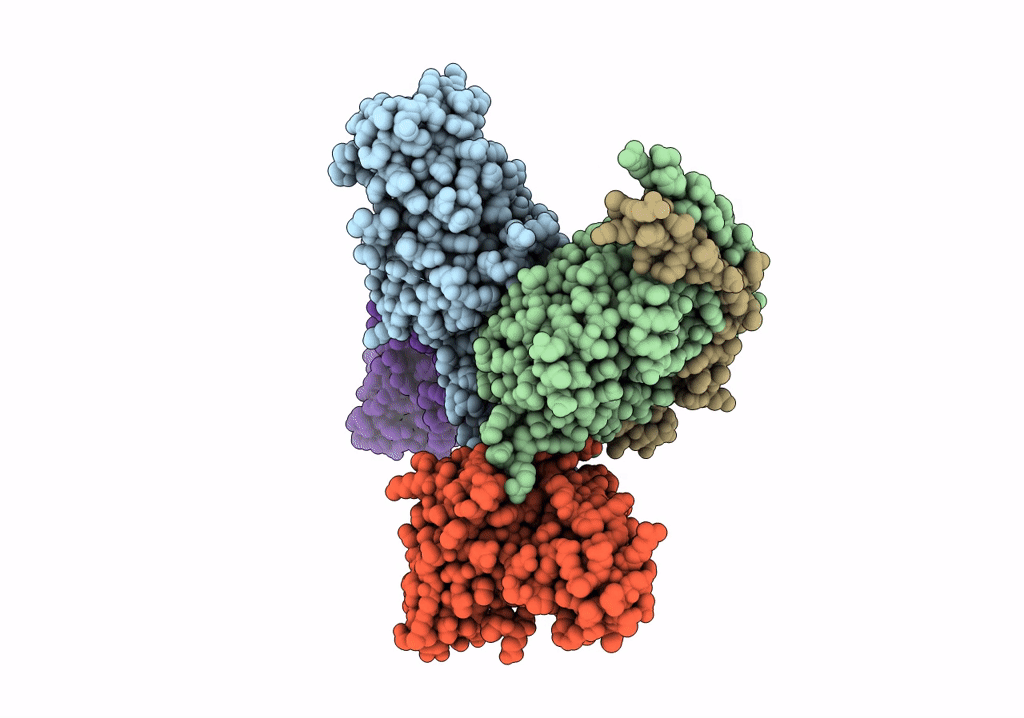 7P02 image