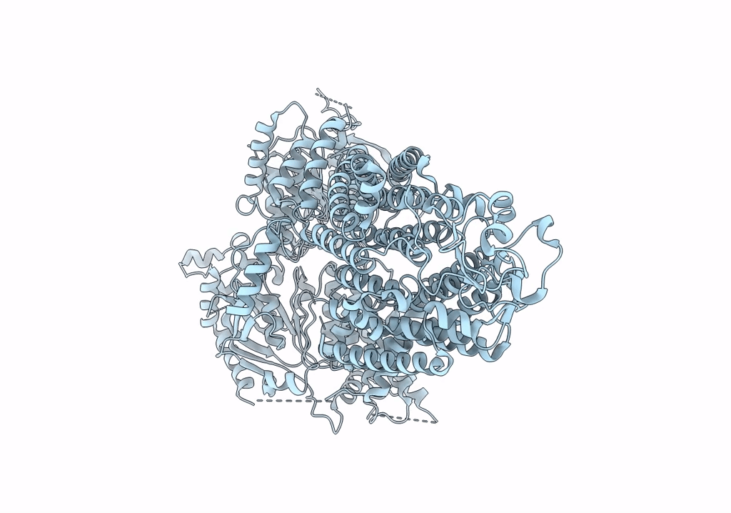 7P03 image