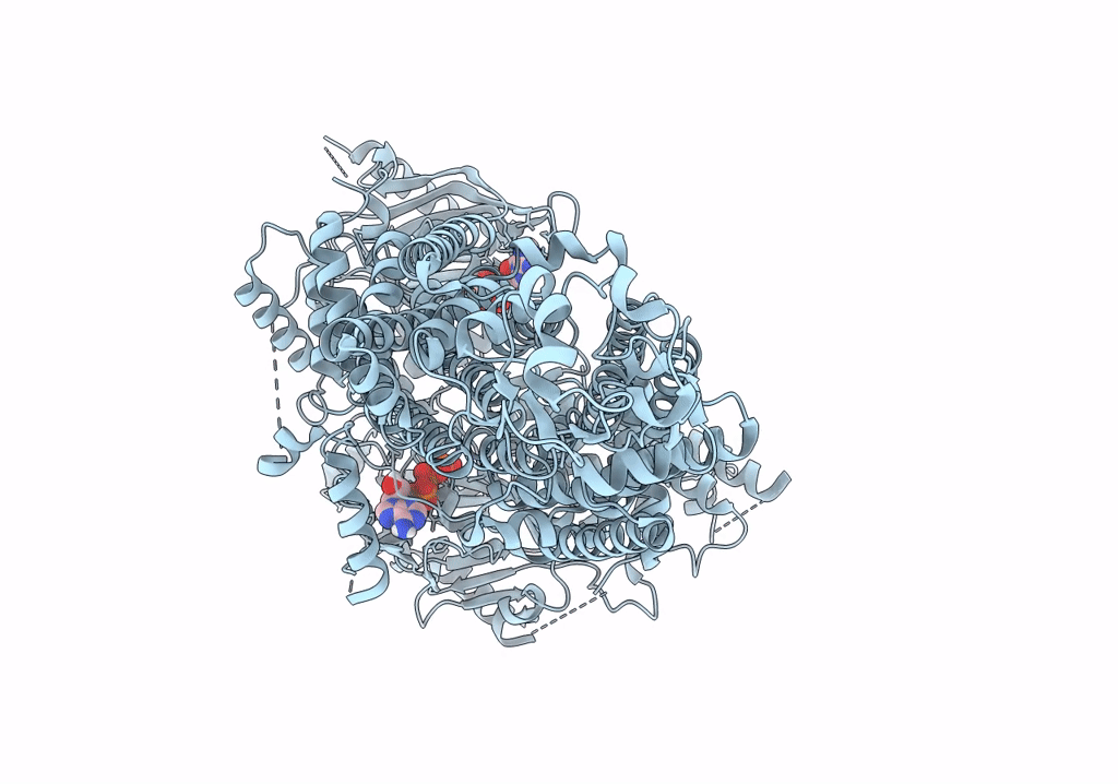 7P04 image