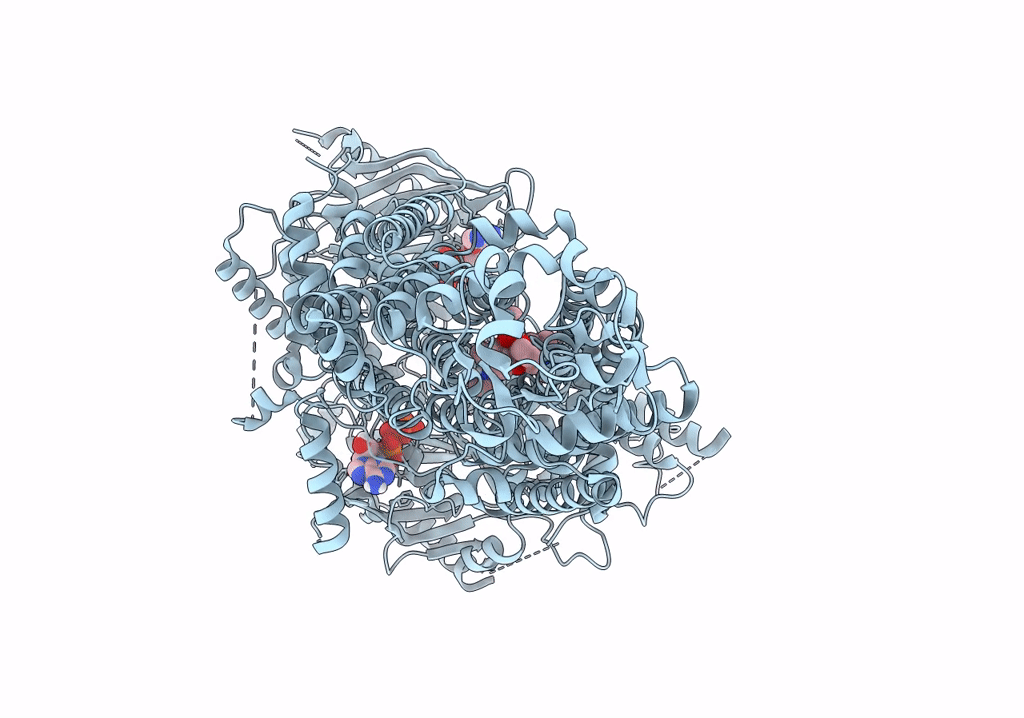 7P05 image