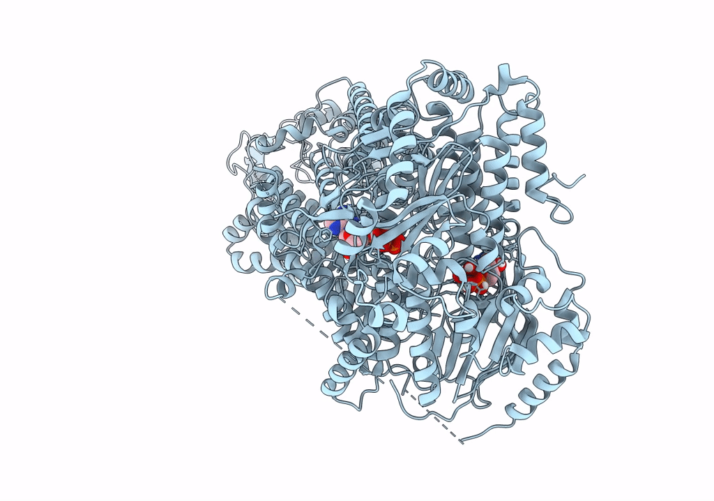 7P06 image