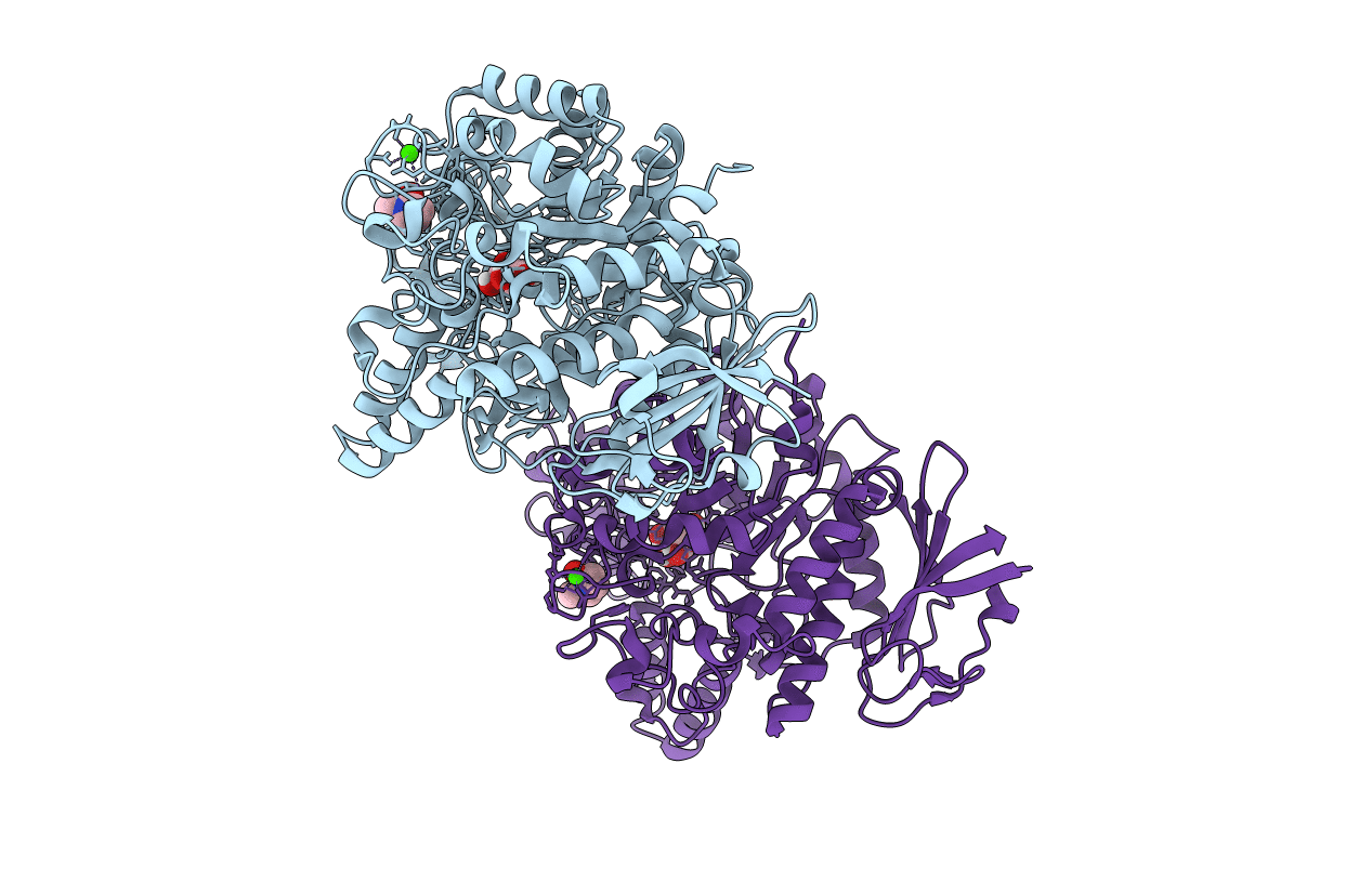 7P07 image