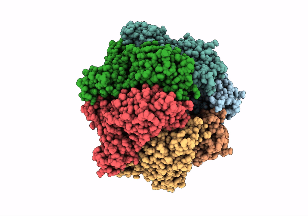 7P09 image