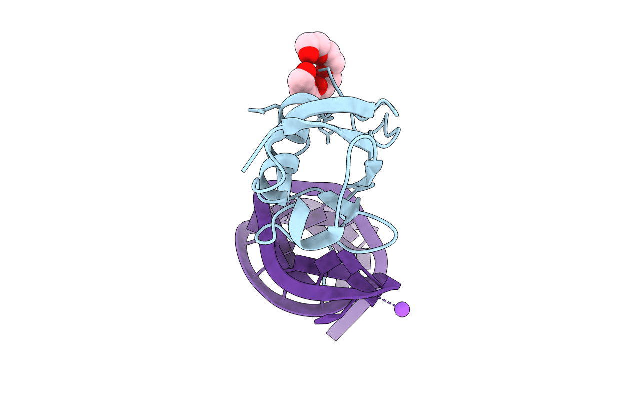 7P0V image