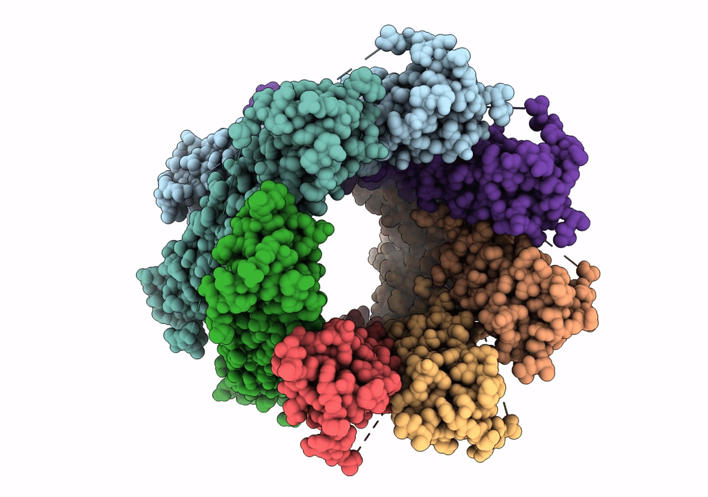 7P13 image