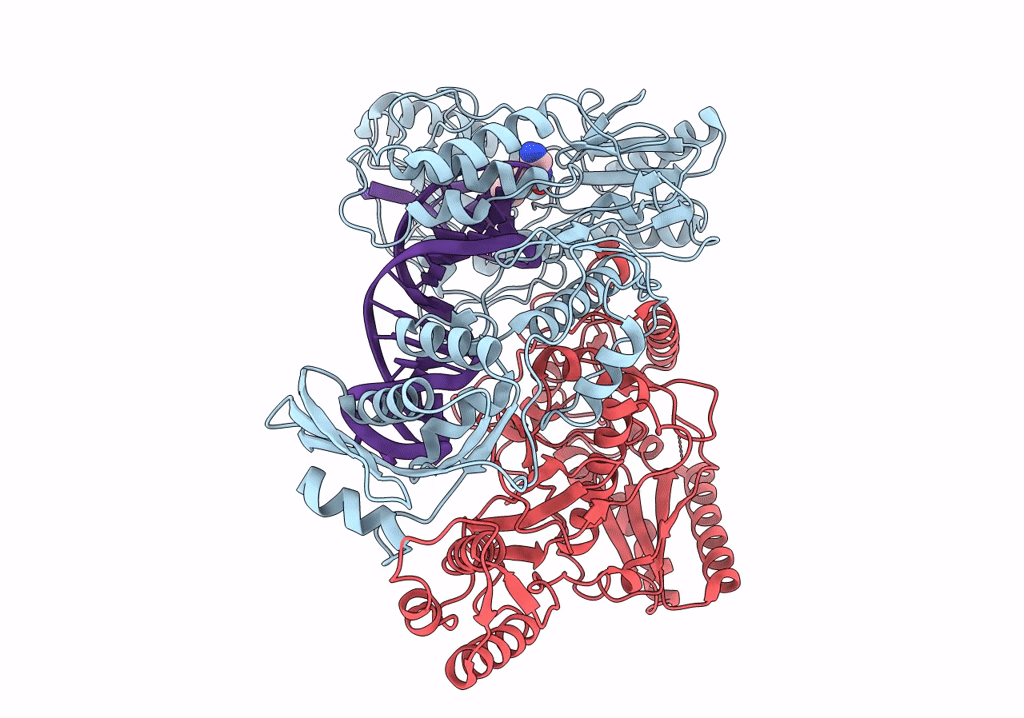 7P15 image