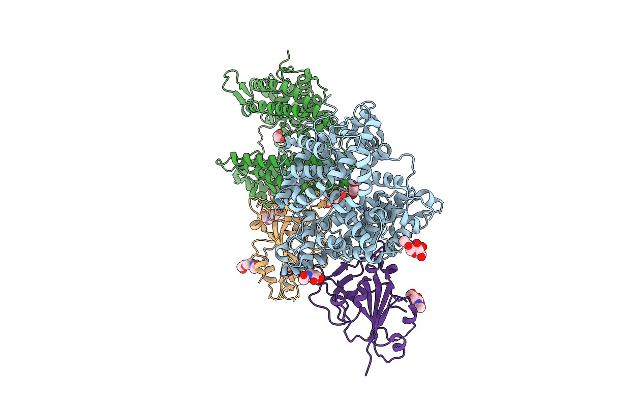 7P19 image