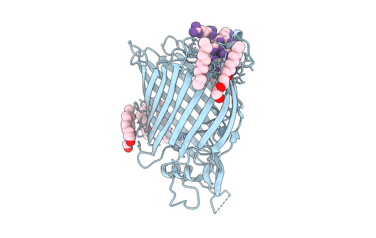 7P1C image