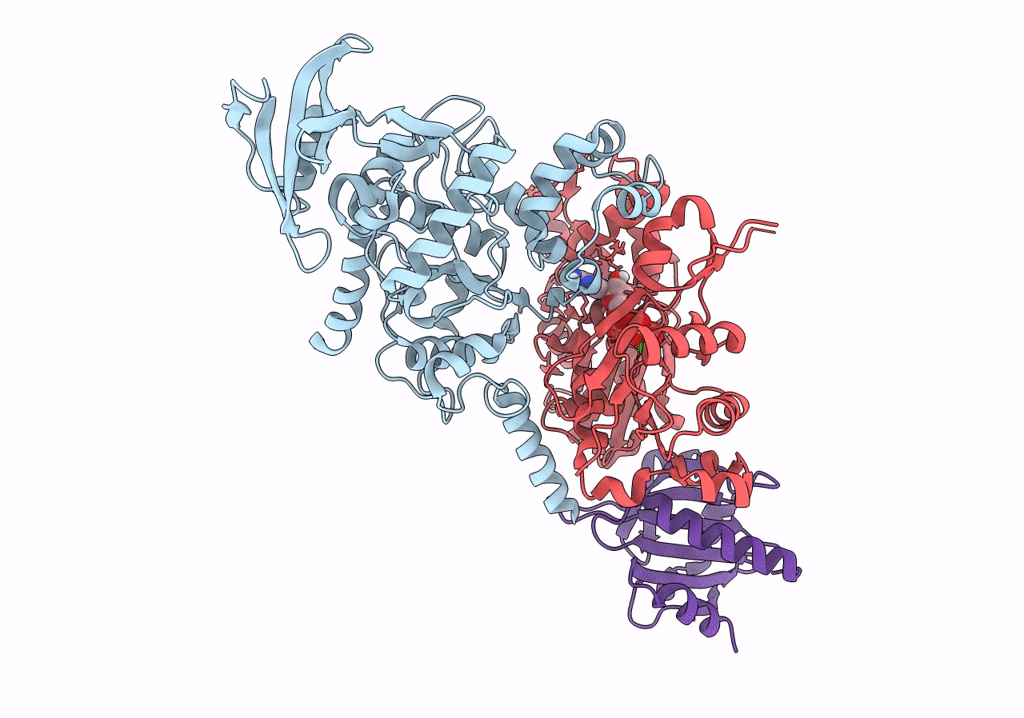 7P1H image
