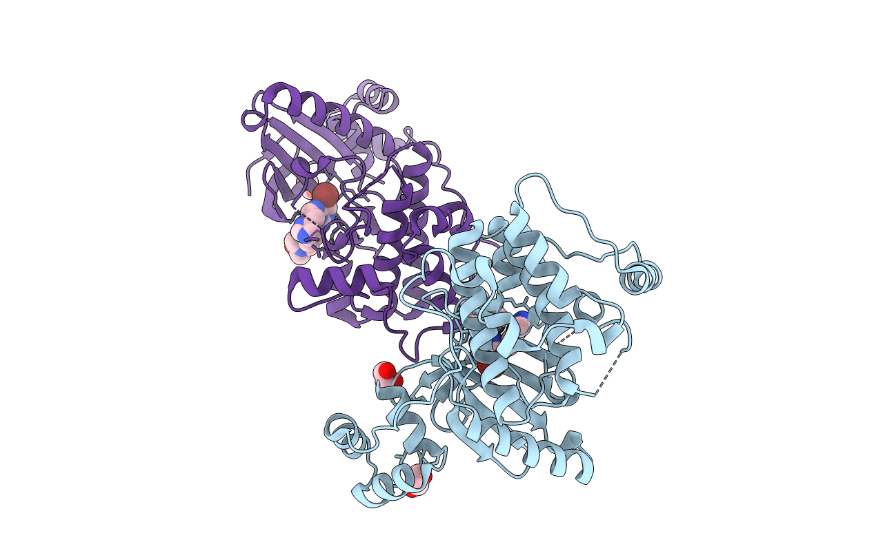7P1L image
