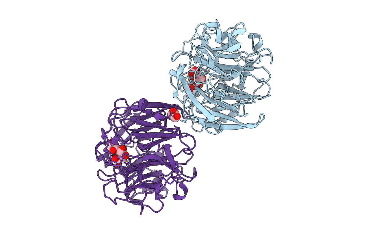 7P1O image