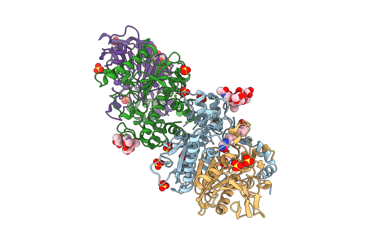 7P1P image