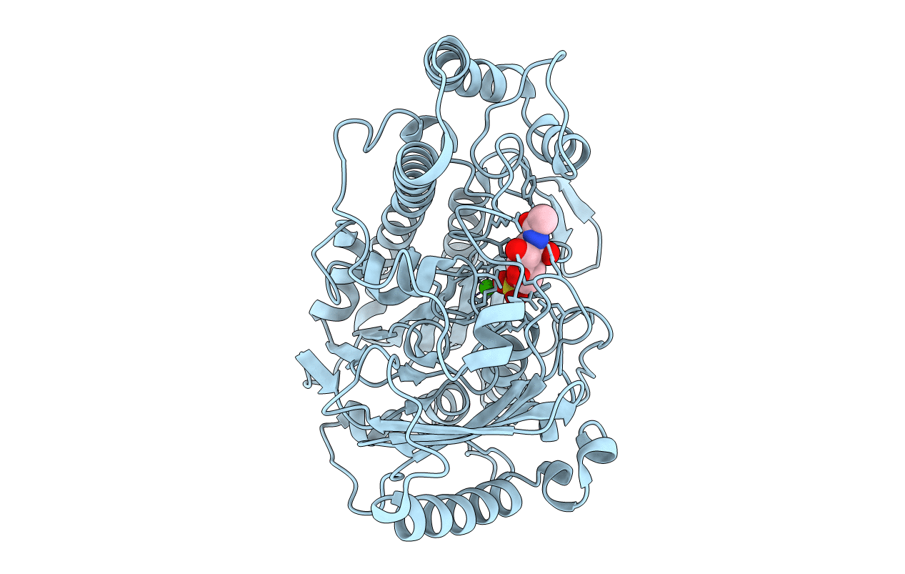 7P24 image
