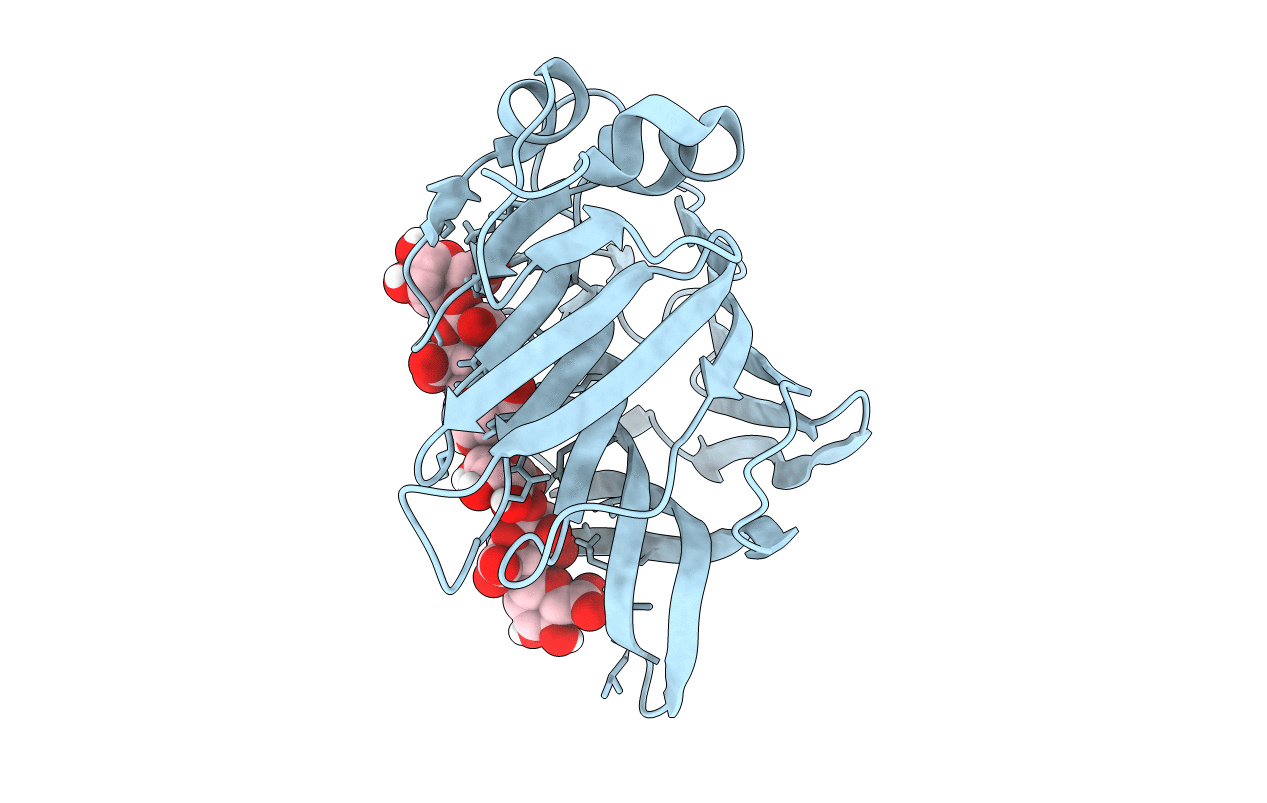 7P25 image