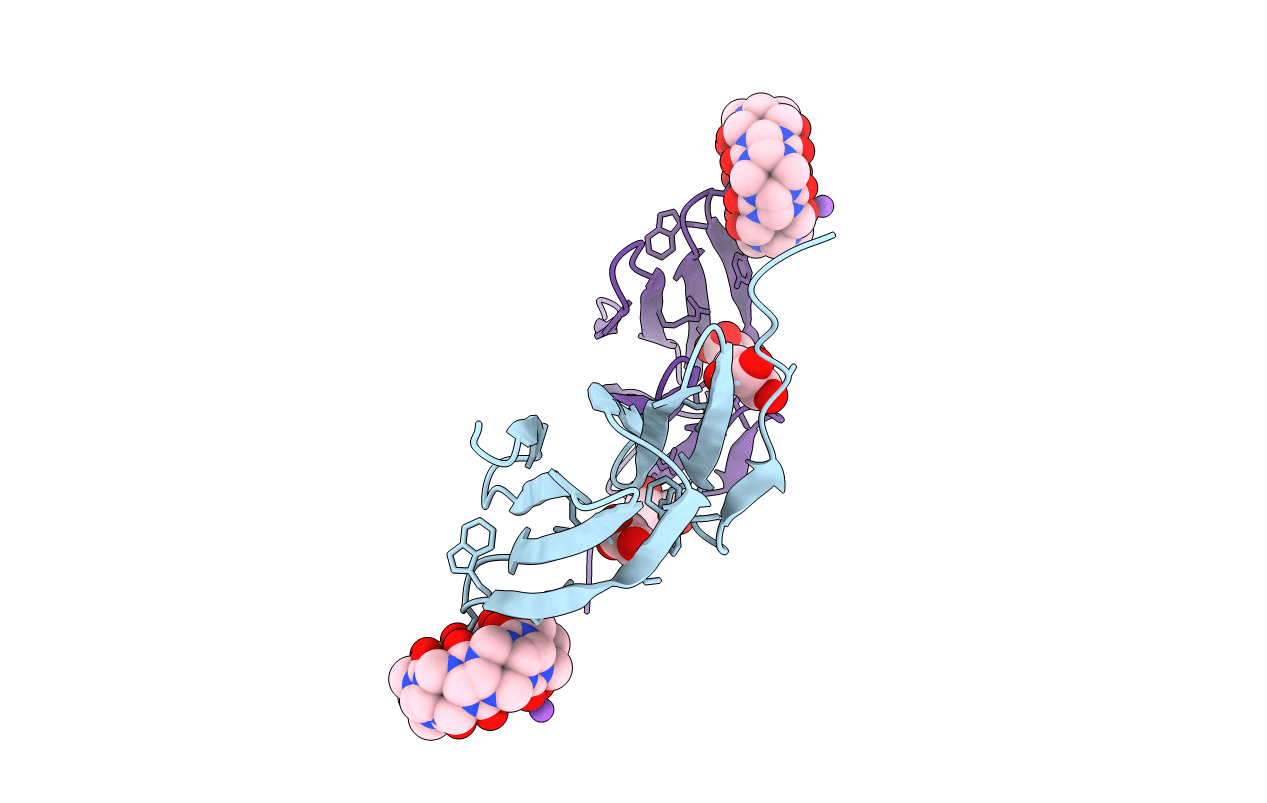7P2H image