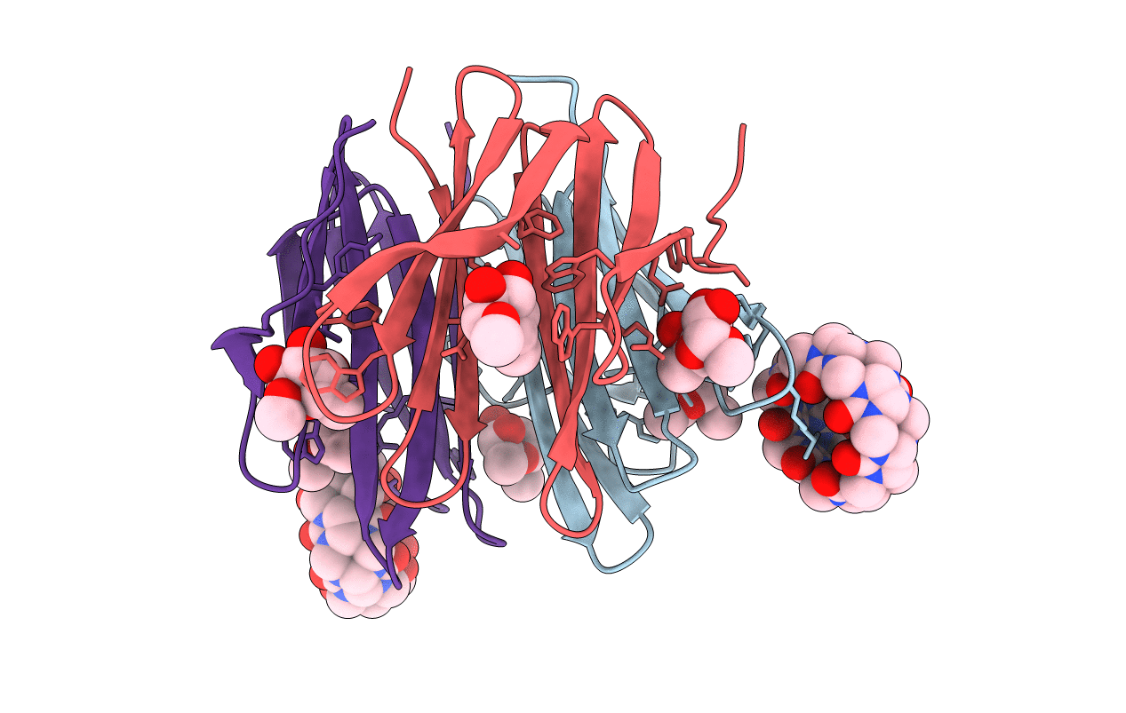7P2I image