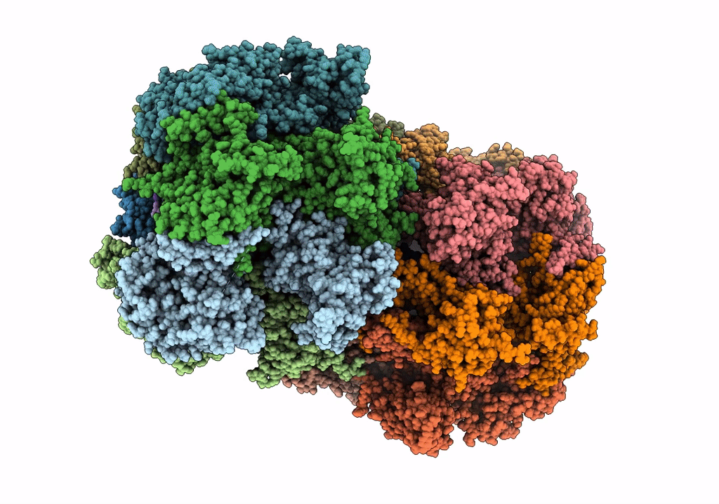 7P30 image